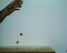 Physics 112: Ball Drop Video